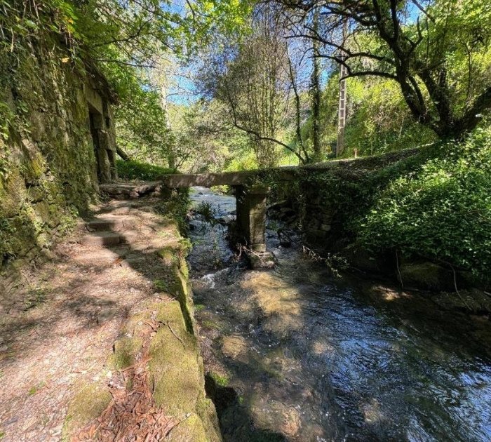 galería - 2026-02-04T182925.582