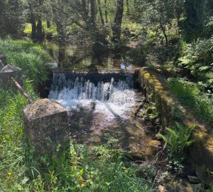 galería - 2026-02-04T182938.628